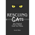 Rescuing CATS: The Musical That's Better Than You Think