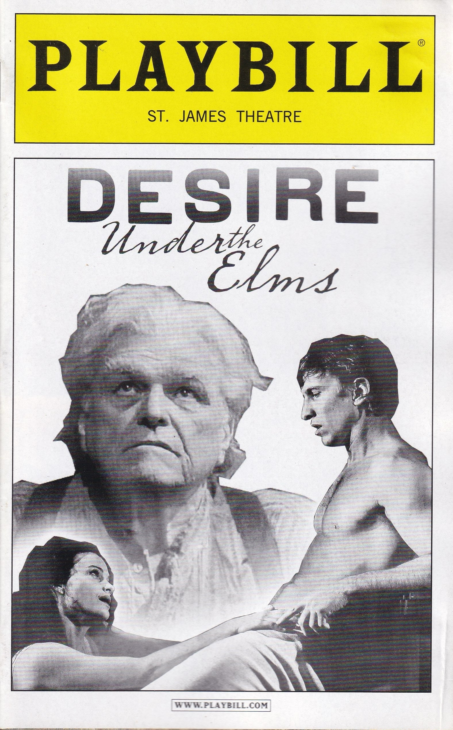 Desire Under the Elms Playbill | St. James Theatre (2009)